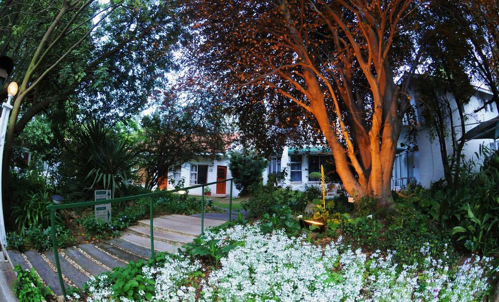Garden Place Guest Houses Johannesburg Kamer foto