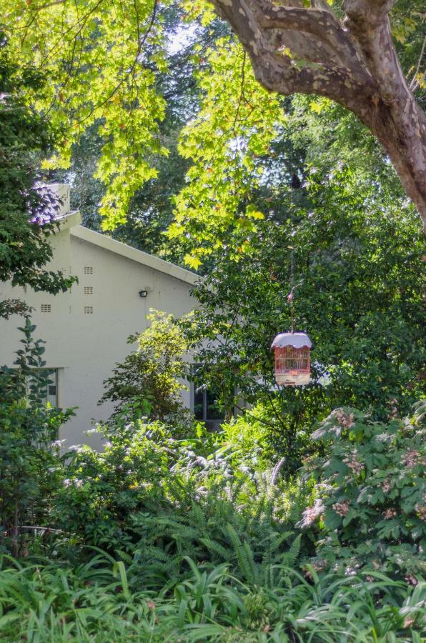 Garden Place Guest Houses Johannesburg Buitenkant foto